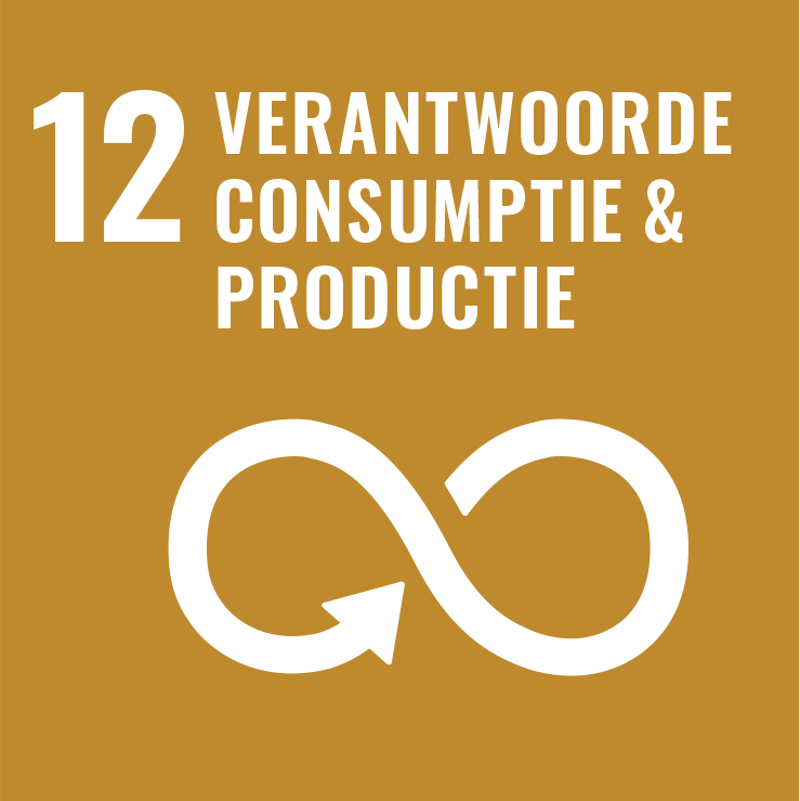 SDG 12 Consumptie